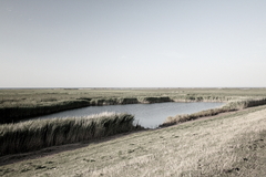 Killikus&reg; Fotographie